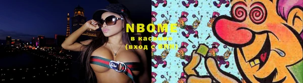дмт Бородино