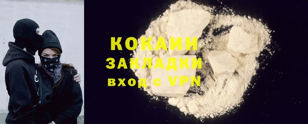 дмт Бородино