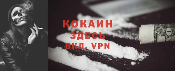 дмт Бородино