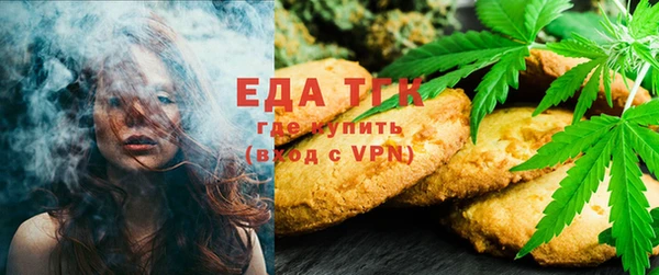 дмт Бородино