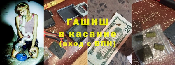 дмт Бородино