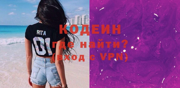 дмт Бородино