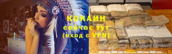 дмт Бородино