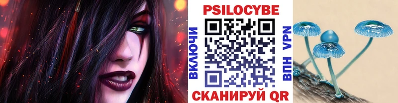 Галлюциногенные грибы Psilocybine cubensis  блэк спрут зеркало  Гусев 
