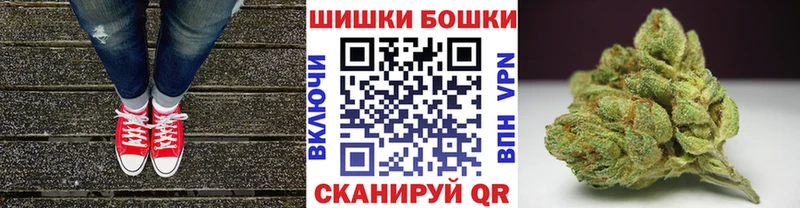 купить   Гусев  Бошки Шишки White Widow 